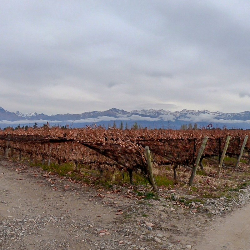 Valle de Uco&nbsp;#LowCost